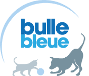 Logo assureur BULLE BLEUE 