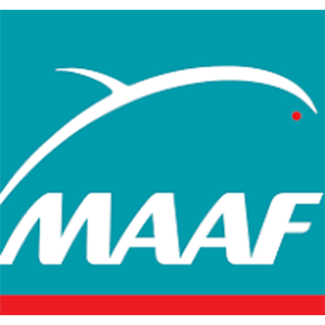 Logo maaf